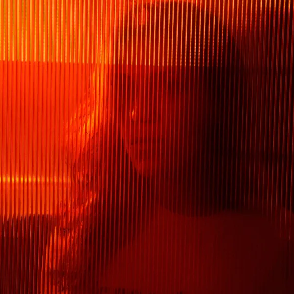 Beatriz Pinto Ferreira